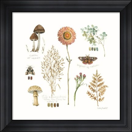 Framed Season's Study IX Print