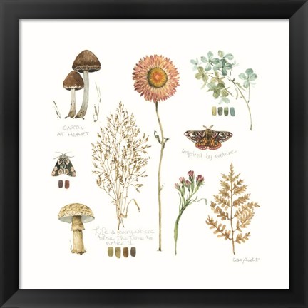 Framed Season&#39;s Study IX Print