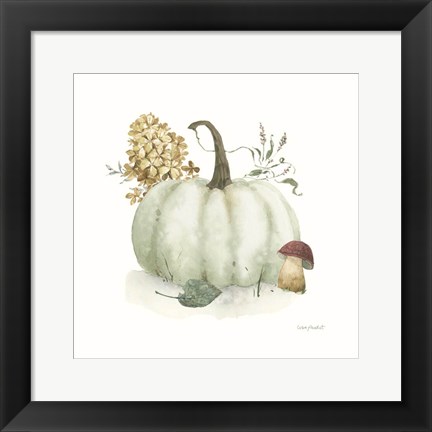 Framed Season&#39;s Study XIV Print