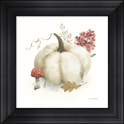 Framed Season&#39;s Study XVI Print