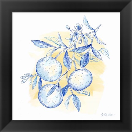 Framed Mediterranean Breezes V Print