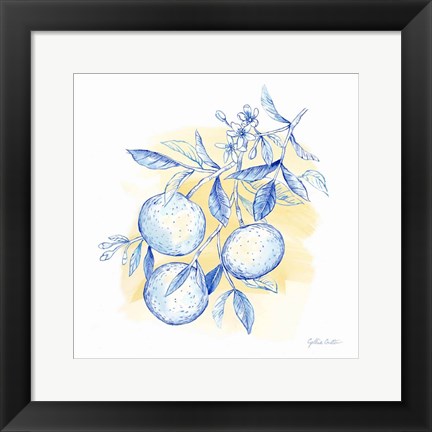 Framed Mediterranean Breezes V Print