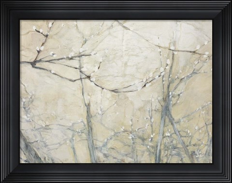 Framed Budding Pussy Willow Print