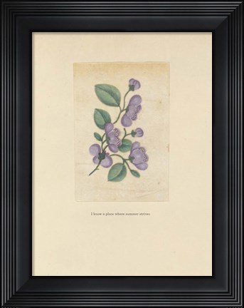 Framed Textbook Floral Pastel Print