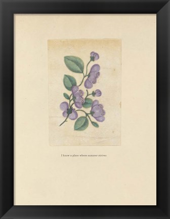 Framed Textbook Floral Pastel Print