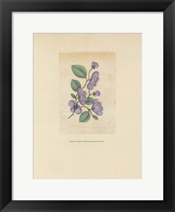 Framed Textbook Floral Pastel Print