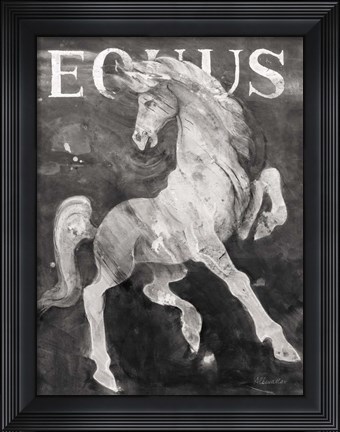 Framed Equus Stallion BW Print