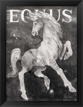 Framed Equus Stallion BW Print