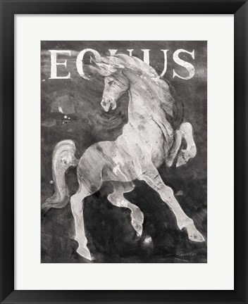 Framed Equus Stallion BW Print