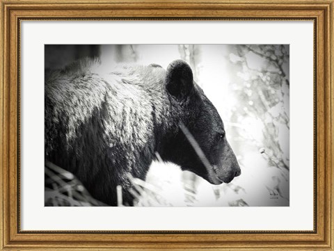 Framed Bear Emerging Print
