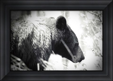 Framed Bear Emerging Print