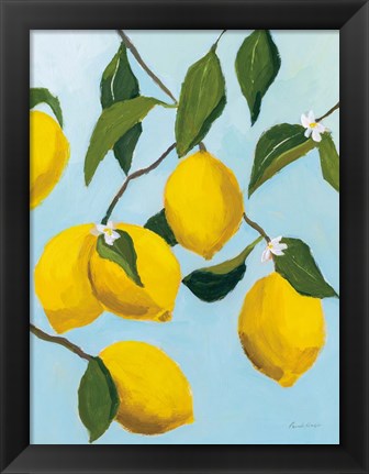 Framed Lemon Tree Print