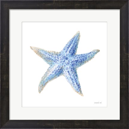 Framed Undersea Starfish Print