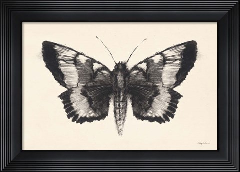 Framed Moth V Print