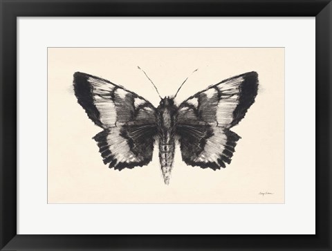 Framed Moth V Print