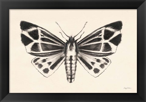 Framed Moth III Print