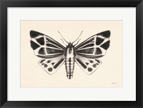 Framed Moth III Print