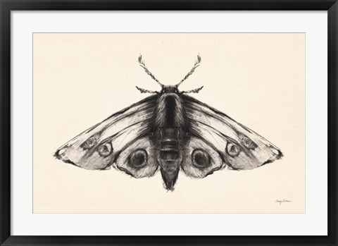Framed Moth II Print