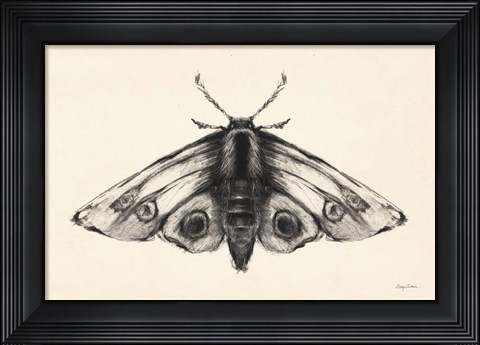 Framed Moth II Print