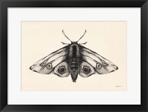 Framed Moth II Print