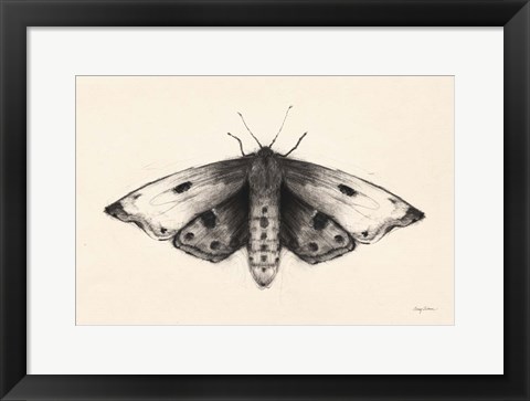 Framed Moth I Print