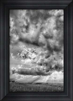 Framed Rolling Pasture Rays Print