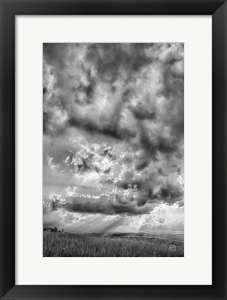 Framed Rolling Pasture Rays Print