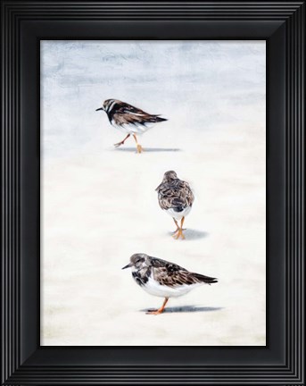 Framed Sandpiper Beach Print