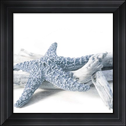 Framed Starfish Beach 4 V3 Print