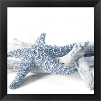 Framed Starfish Beach 4 V3 Print