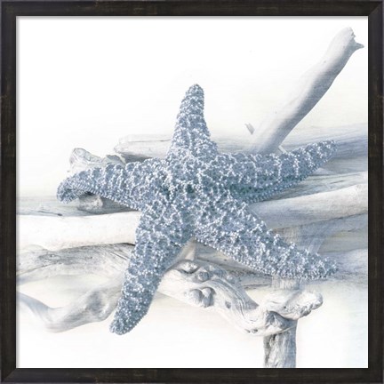 Framed Starfish Beach 5 V3 Print