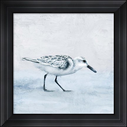 Framed Sandpiper 1 Print