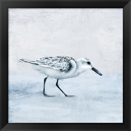 Framed Sandpiper 1 Print