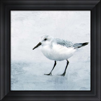Framed Sandpiper 2 Print
