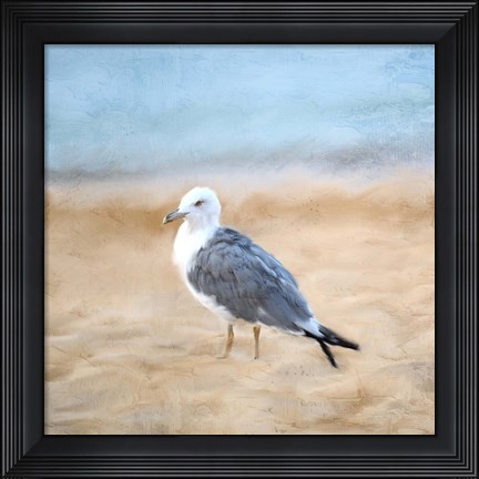 Framed Seagull Print
