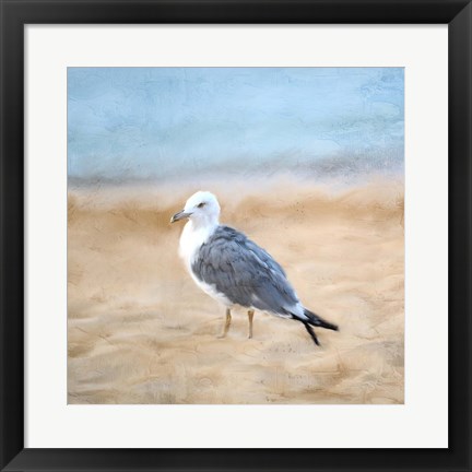 Framed Seagull Print