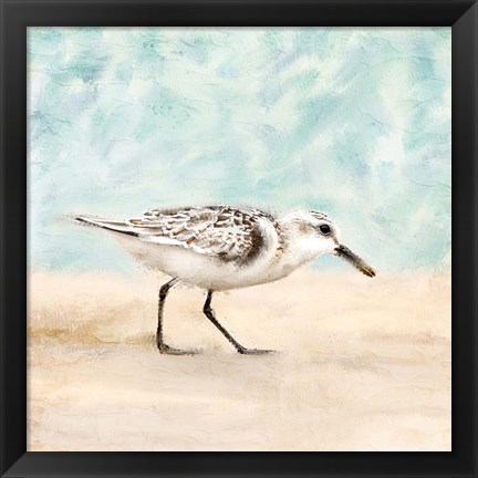 Framed Sandpiper Walk 1 Print