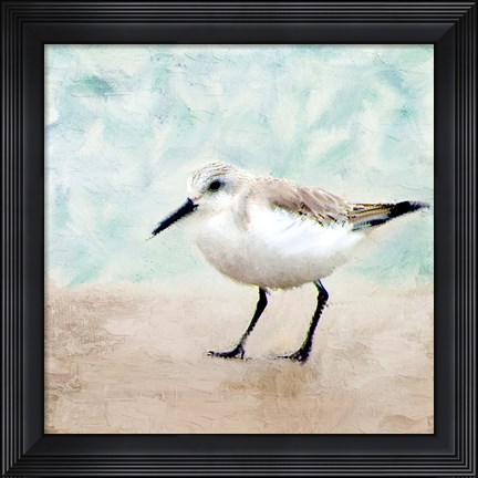 Framed Sandpiper Walk 2 Print