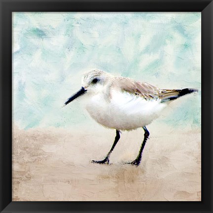 Framed Sandpiper Walk 2 Print