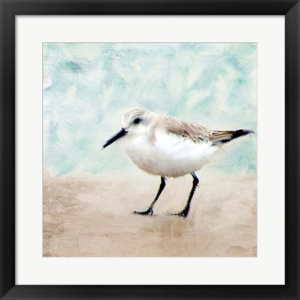 Framed Sandpiper Walk 2 Print