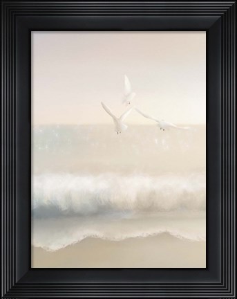 Framed Gulls Print