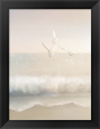 Framed Gulls Print