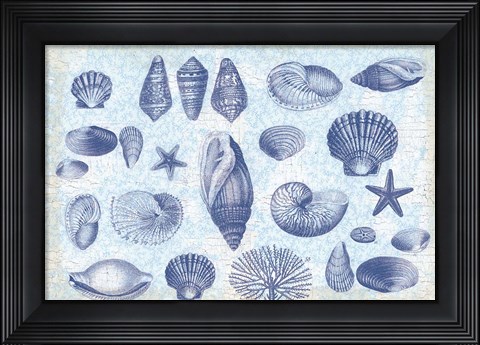 Framed Casual Coastal Shells Print