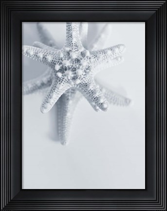 Framed Starfish Print
