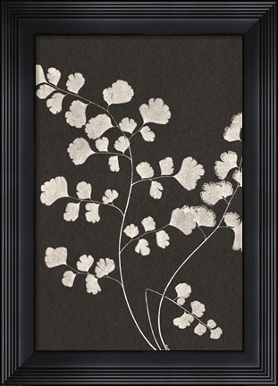 Framed Vintage Ferns III Print