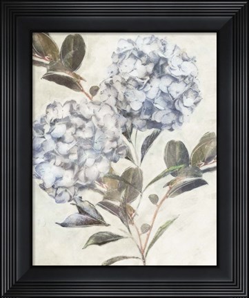 Framed Twilight Hydrangea Print