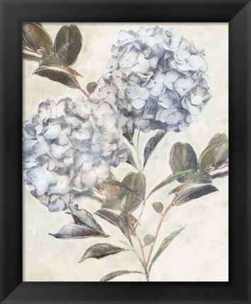 Framed Twilight Hydrangea Print