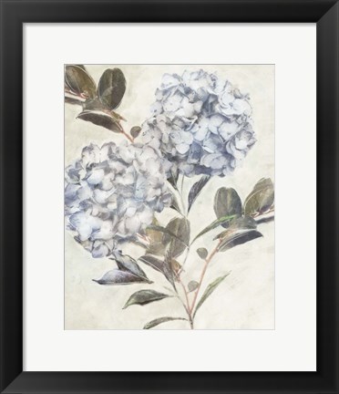 Framed Twilight Hydrangea Print