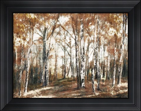 Framed Rusted Hearth Birch Trees Print