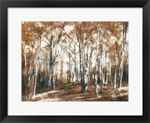 Framed Rusted Hearth Birch Trees Print